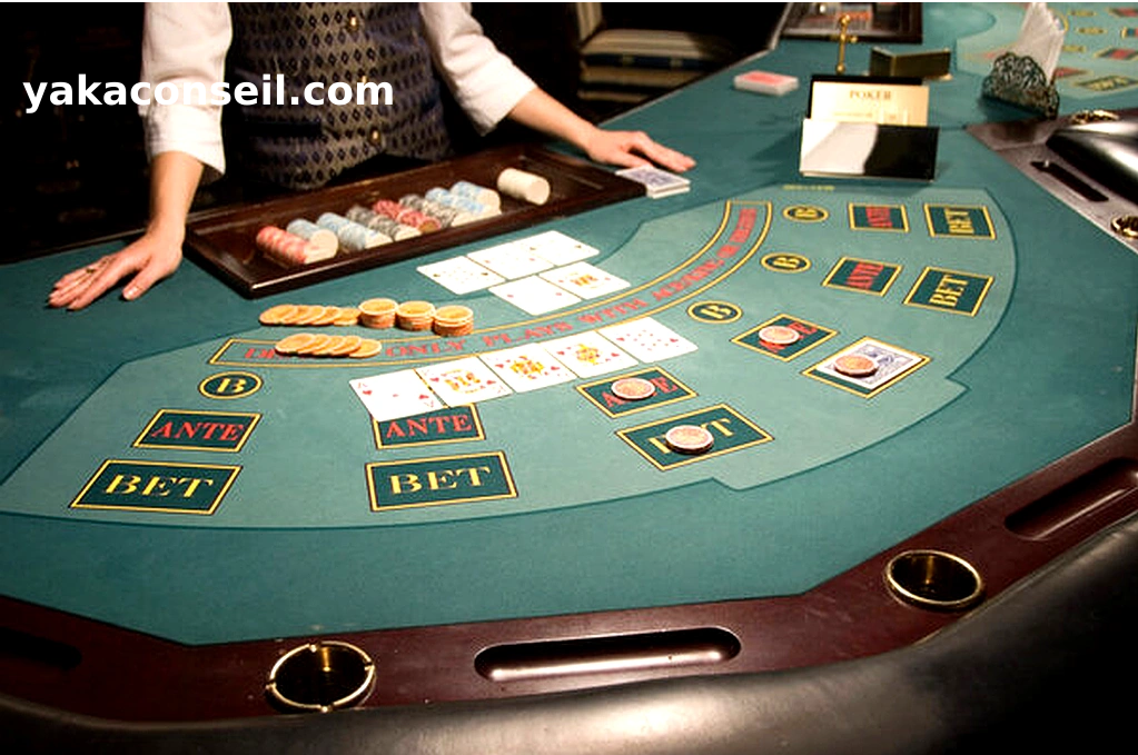 Hình minh họa của Các loại hình cá cược tại Casino360 Bet